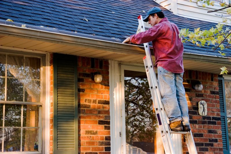 Gutter Repair detail