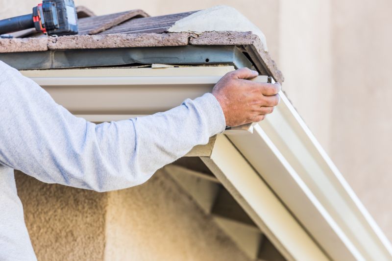 Gutter cleaning and inspection