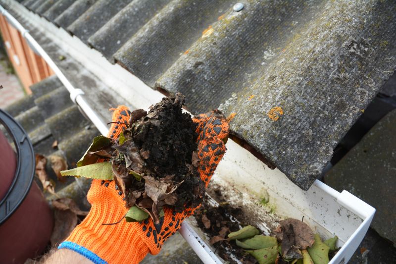 Gutter Service Image 9